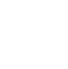 ICF Gecertificeerd Level 2