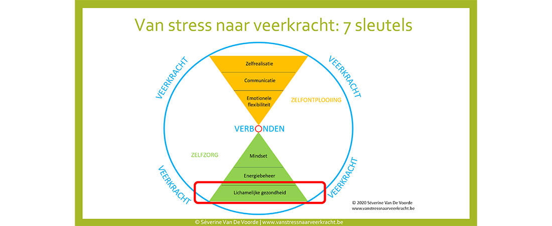 Séverine Van De Voorde van stress naar veerkracht